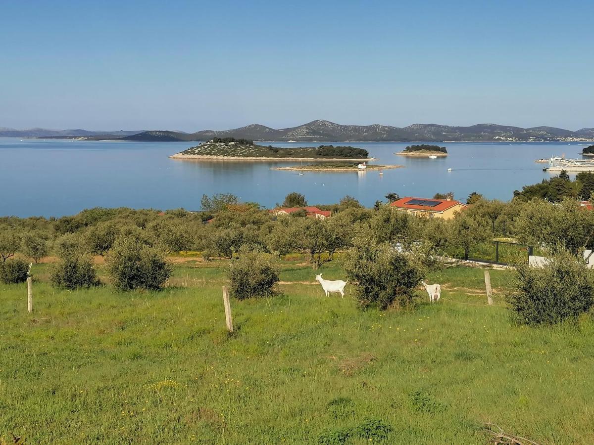 Studio Punta Pakoštane 外观 照片